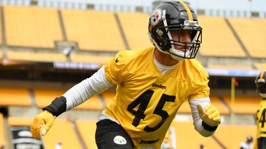 Tomlin wastes no time tossing Schobert onto field with first unit taken at Heinz Field (Steelers)